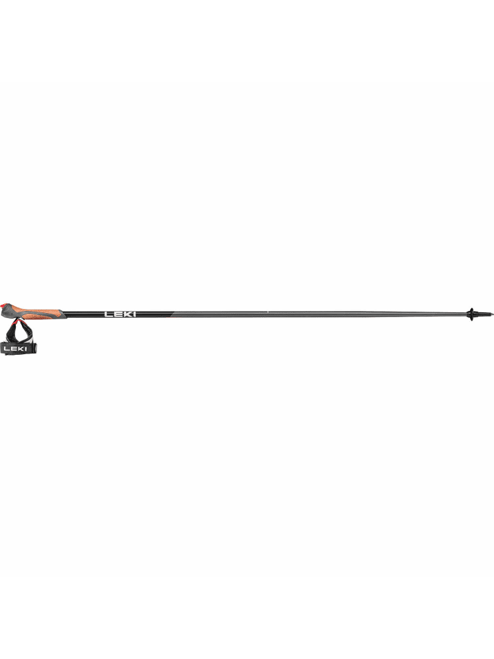 Nordic Walking-Stock Response in Anthrazit