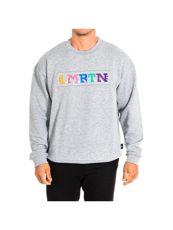Sweatshirt in Gray