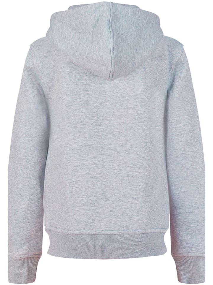 F4NT4STIC Hoodie Drache mit Blumen in grau meliert günstig kaufen | limango