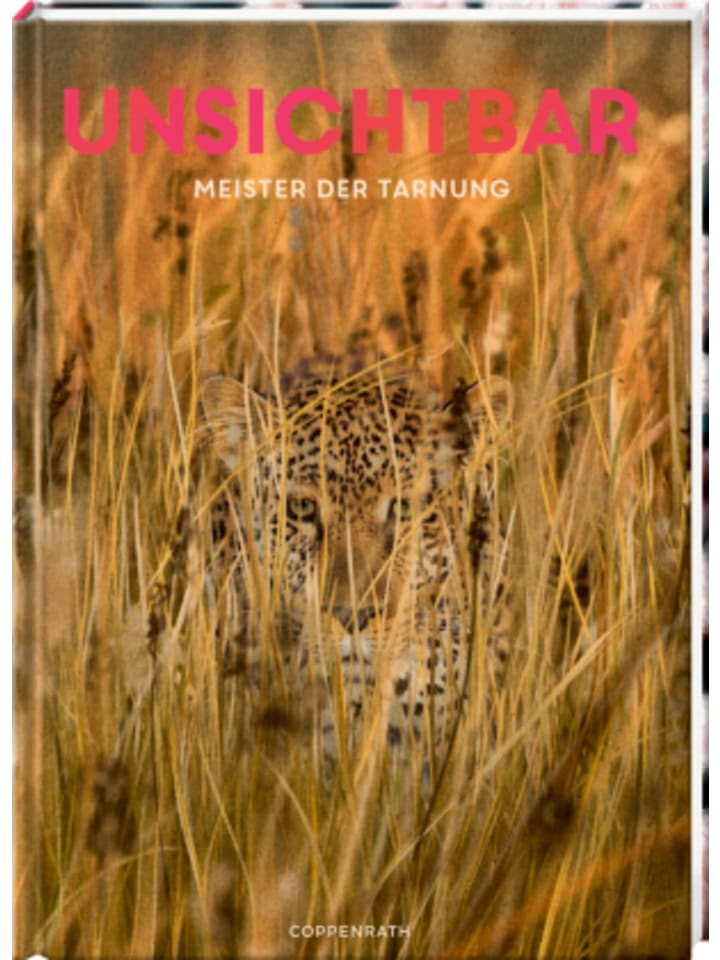 Buch - Unsichtbar