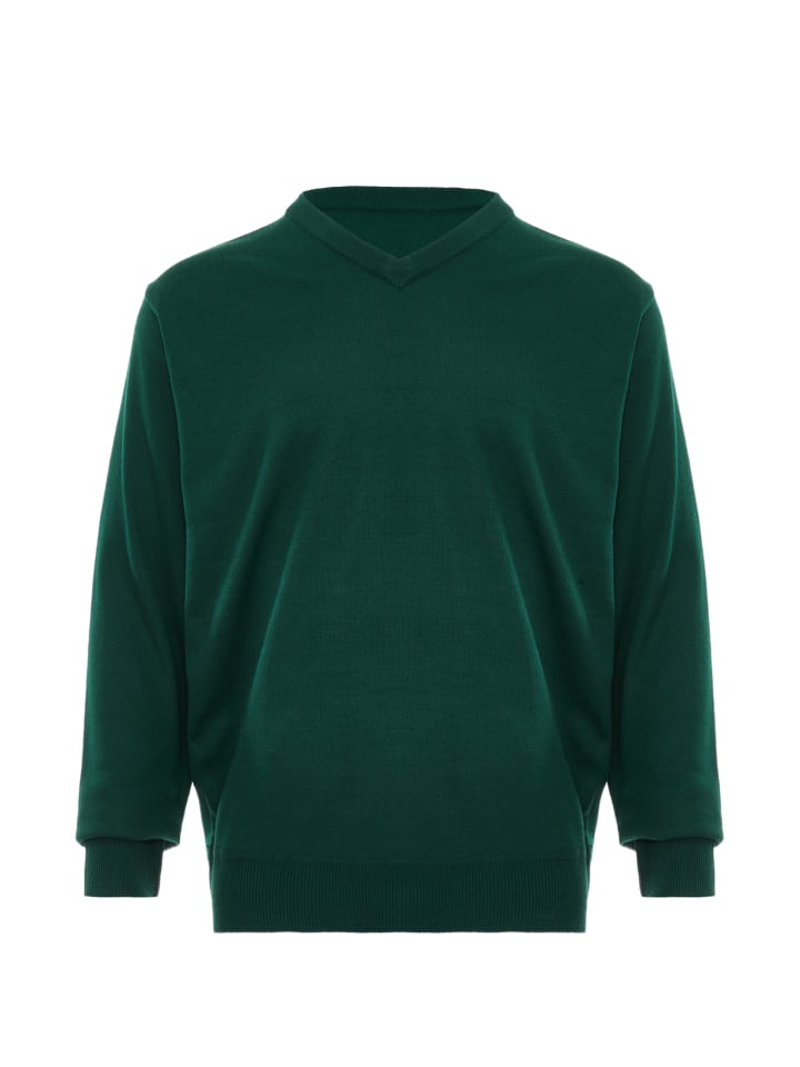 Herren Pullover in Grün