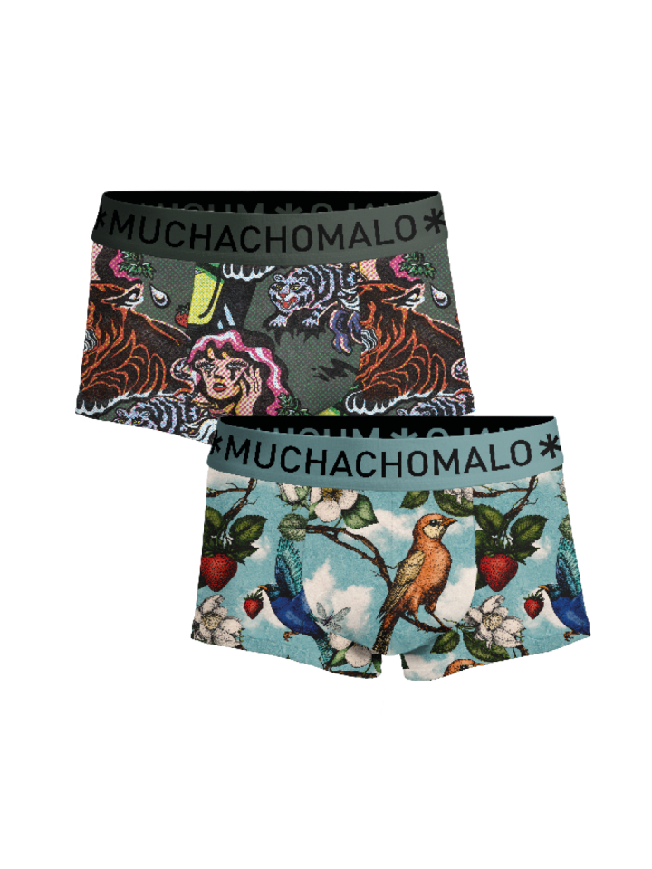2er-Set: Boxershort in Mehrfarbig - für Herren