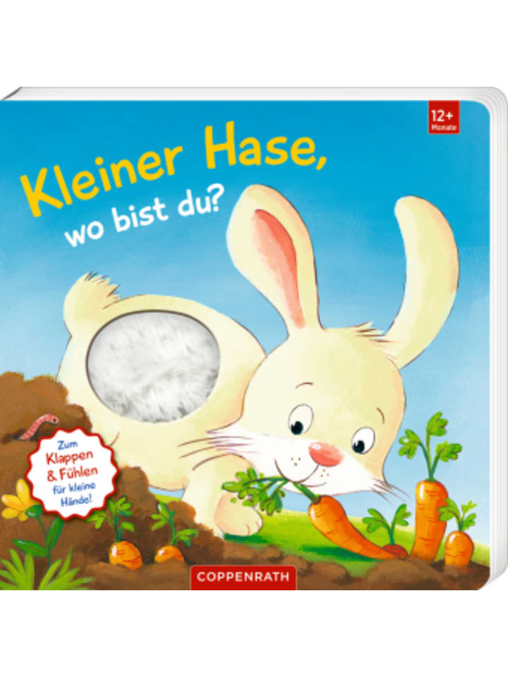 Buch - Mein erstes Guckloch-Fühlbuch: Kleiner Hase, wo bist du?