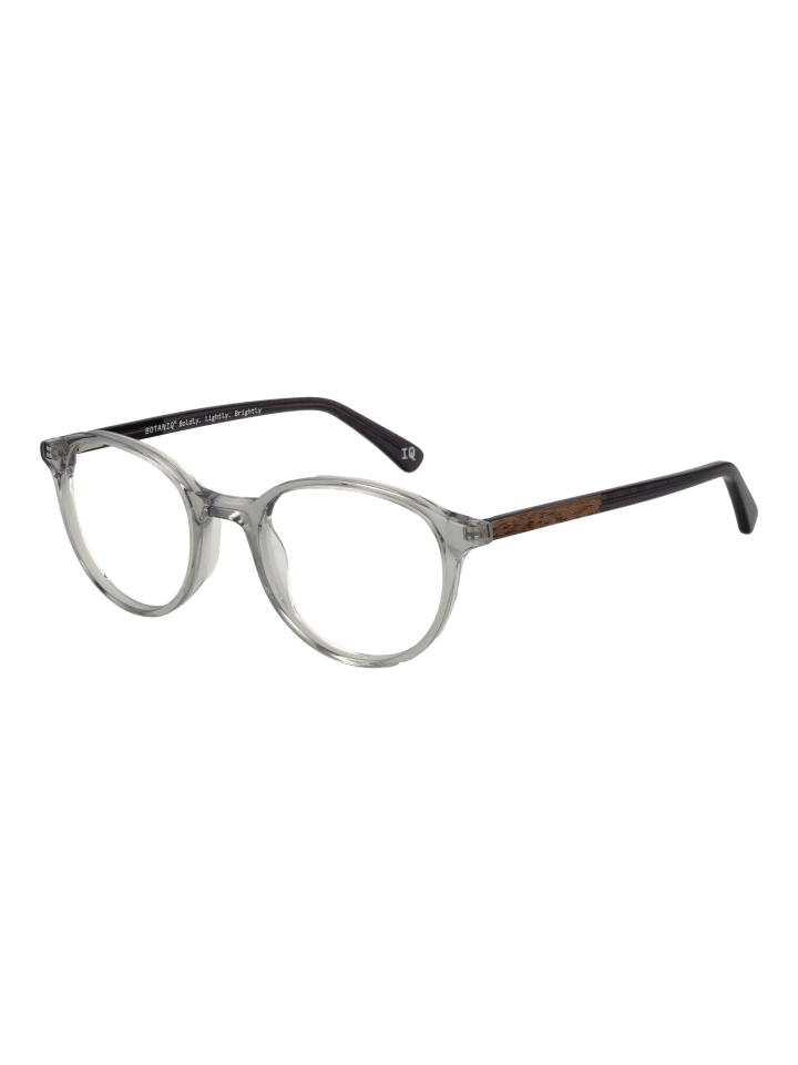 Herren Optische Fassungen Panto Transparent