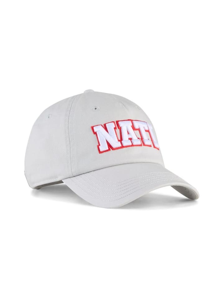Cap "Sfv Culture Cap" in Grau