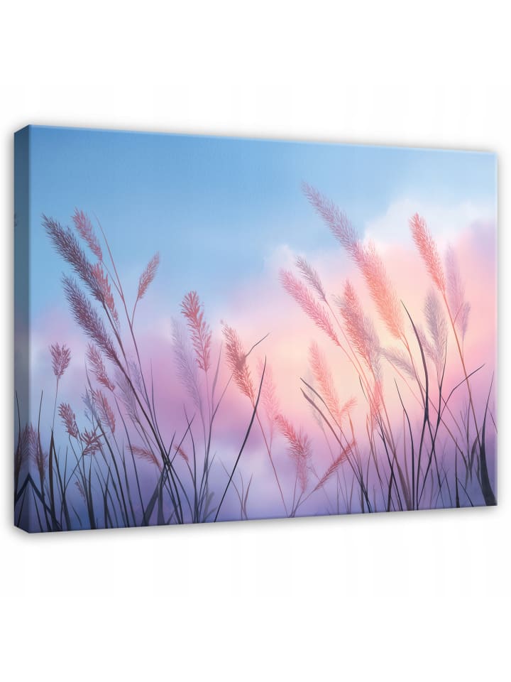 Leinwandbild Pampasgras in Rosa