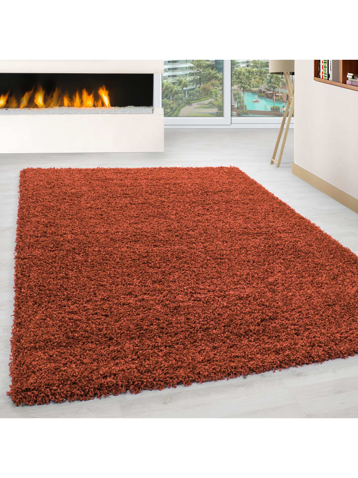Teppich Hochflor Shaggy Waschbar Einfarbig RHEIN Strapazierfähig in Terrakotta