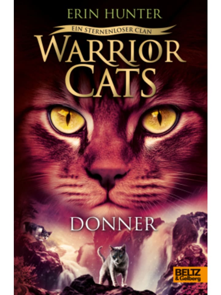 Buch - Warrior Cats - Ein sternenloser Clan. Donner