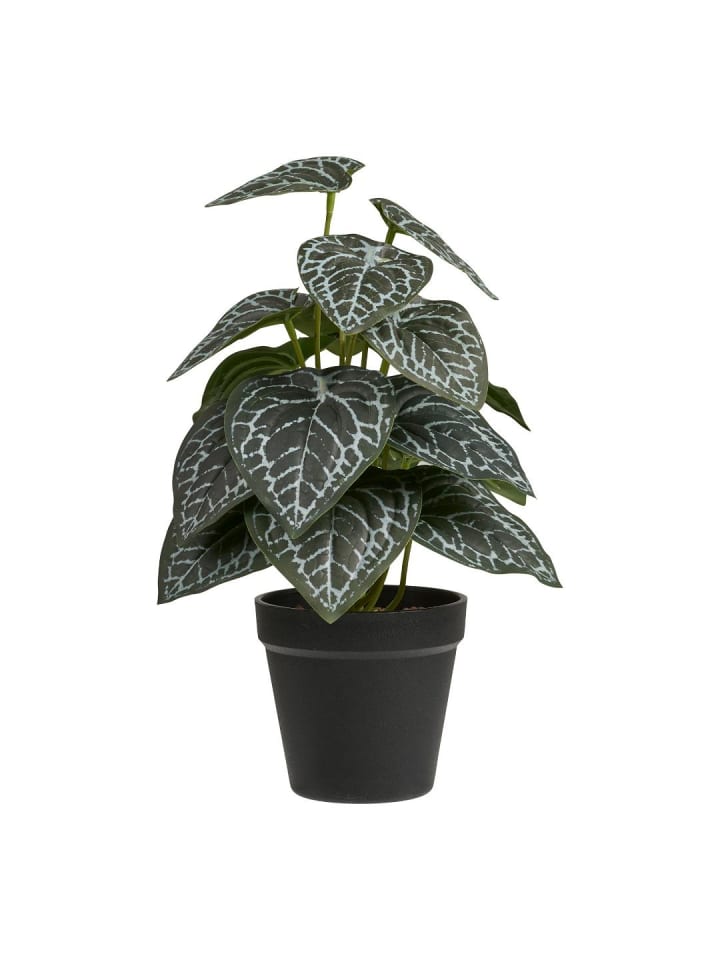 künstliche Pflanze Alocasia Grün 21 x 20 cm