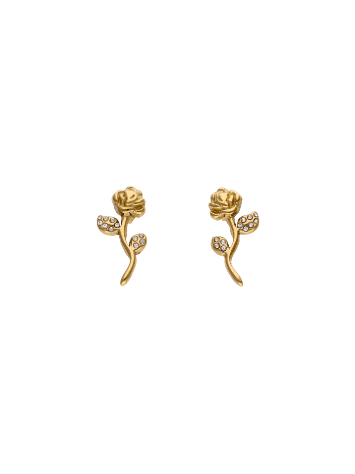 Women Earrings in Gold