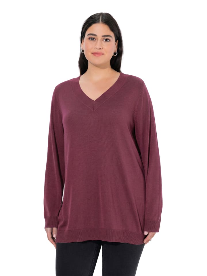 Pullover in dunkle beere