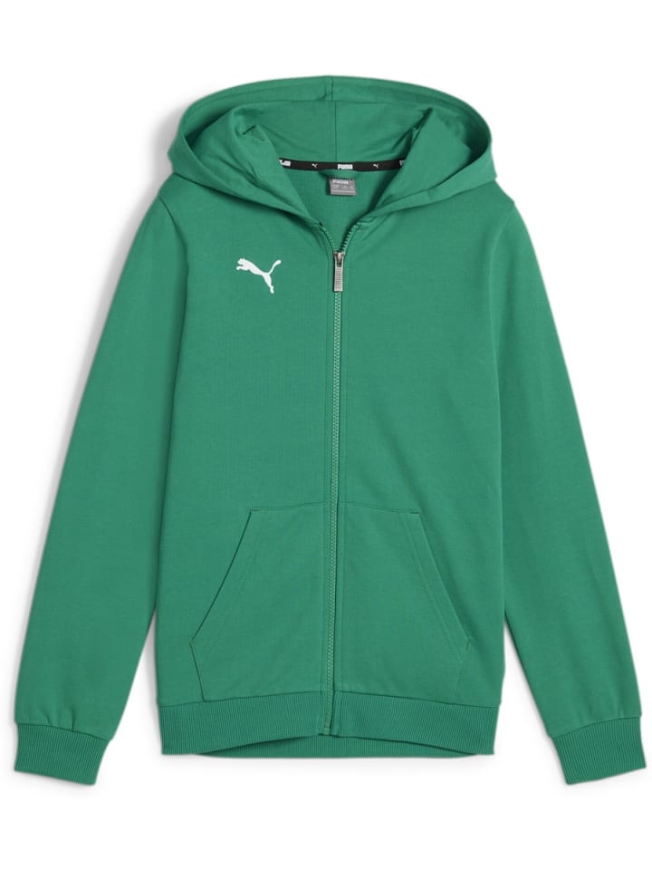 Hoodie "TeamGoal CasuaLongsleeve Hooded Jacket Jr" in Grün