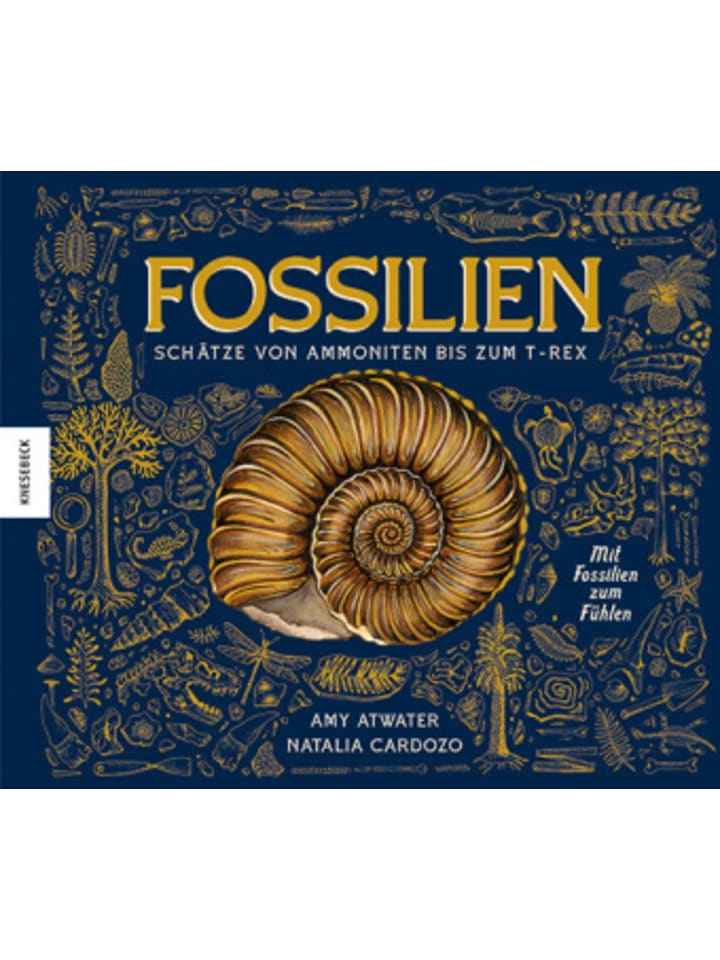 Buch - Fossilien - Schätze von Ammoniten bis zum T. Rex