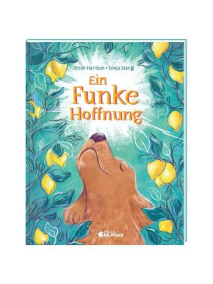Buch - Ein Funke Hoffnung