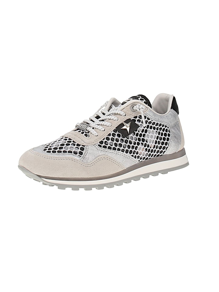 Sneaker low C-848 SRA V26 in Mehrfarbig