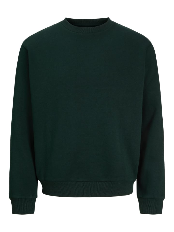 Sweatshirt in Scarab