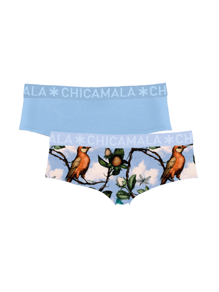 2er-Set: Boxershort in Mehrfarbig - für Frauen