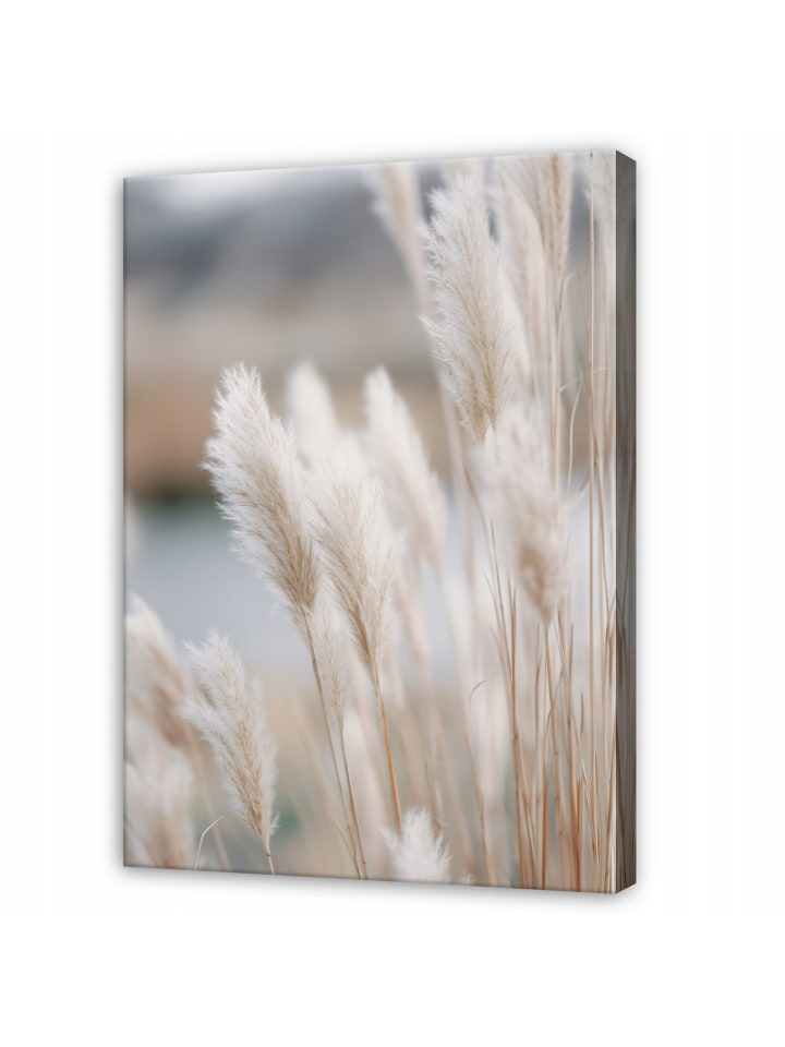 Leinwandbild Pampasgras in Beige