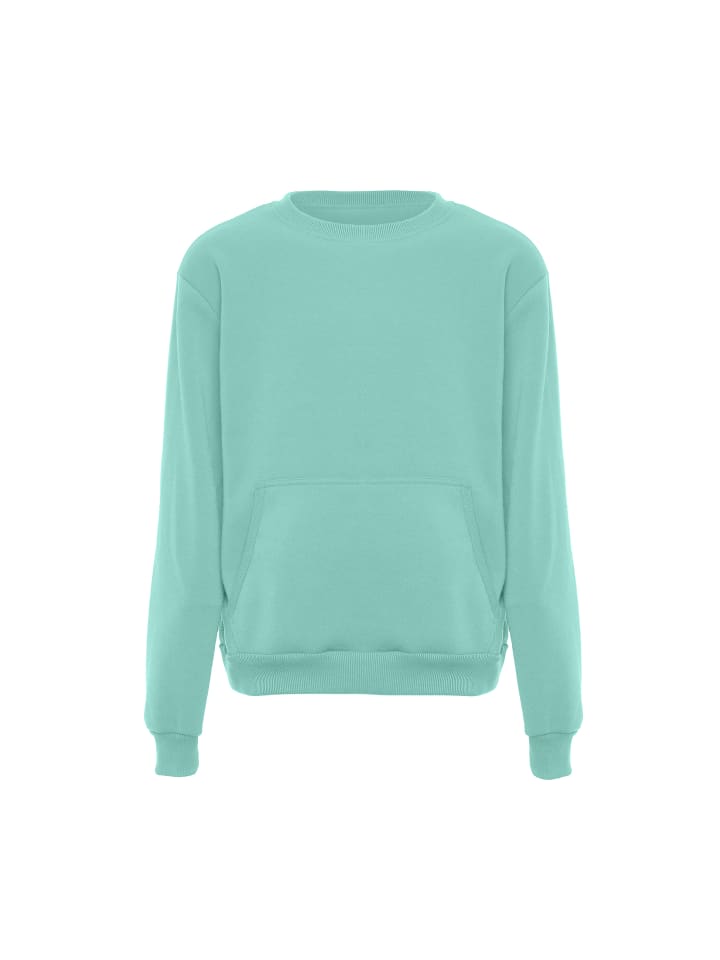 Herren Sweatshirt in Eisminze