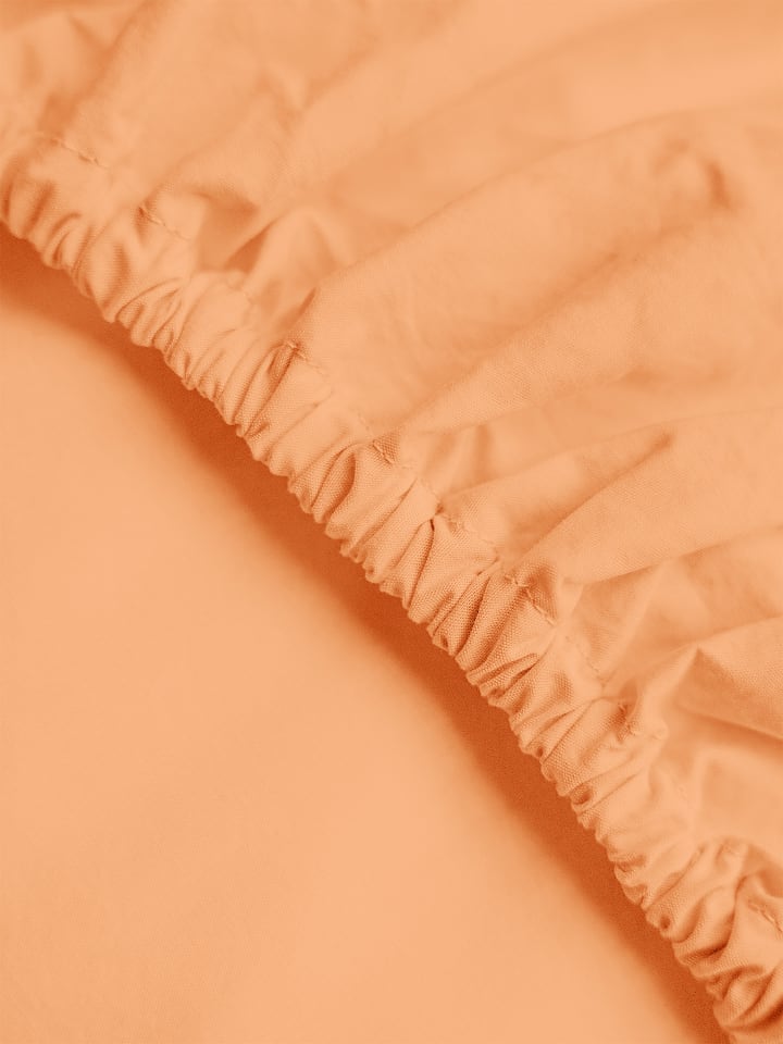 COTTON SELECT in papaya