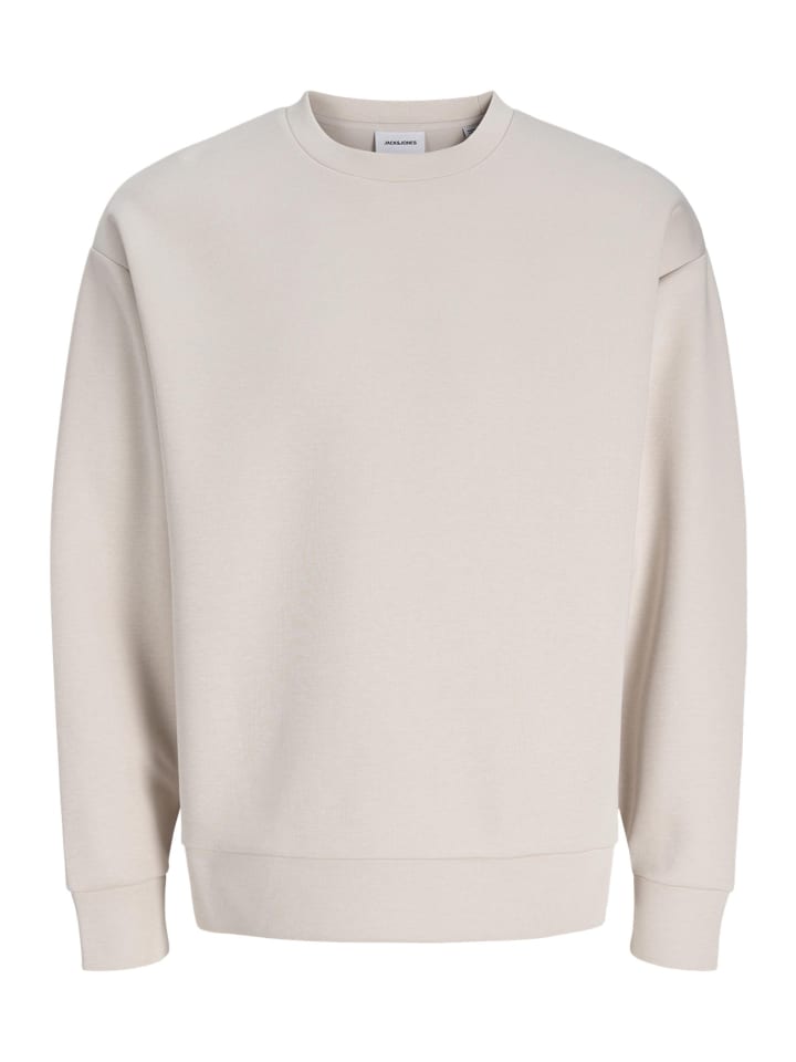 Sweatshirt Barron Sweat in Moonbeam