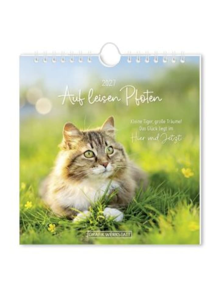 Kalender - Postkartenkalender 2027 Auf leisen Pfoten
