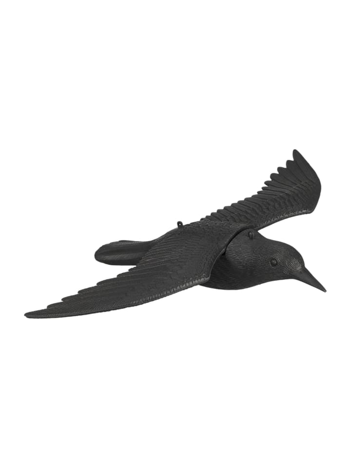 Taubenschreck in Schwarz