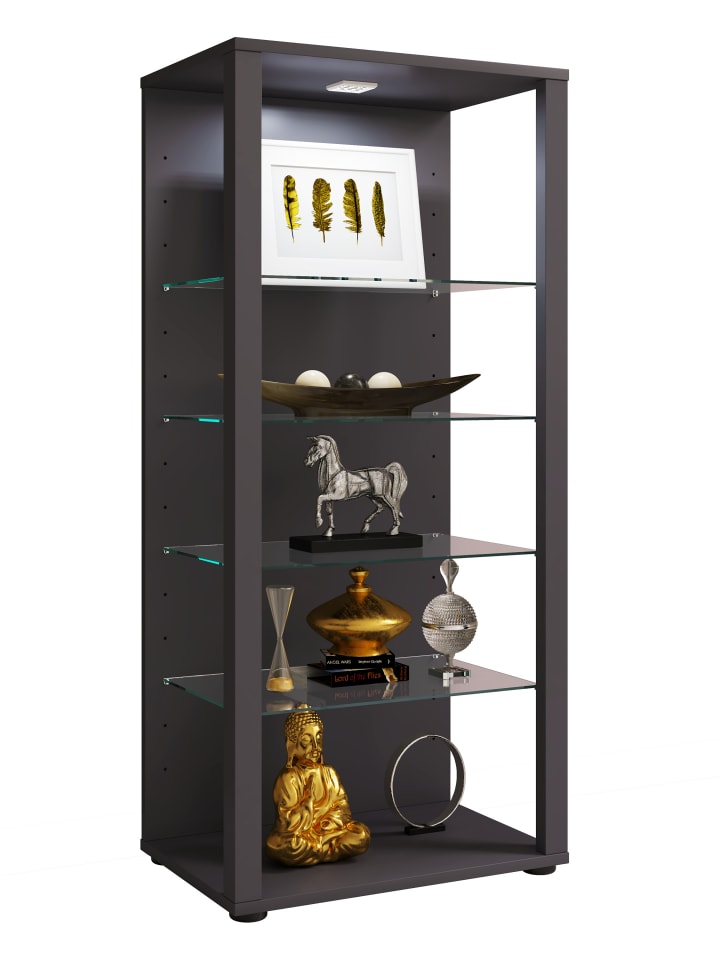 Holz Glas Stand Vitrine Sammelvitrine Glasol lll in Schwarz