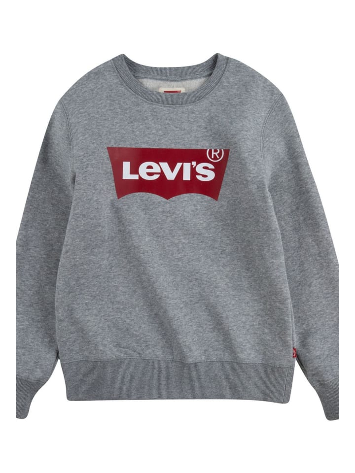Batwing Crewneck Sweatshirt in Grau