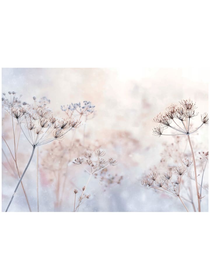 Fototapete
 Blumen in Beige