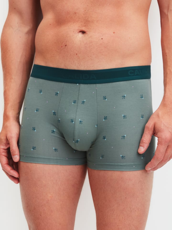 New Boxer in laurel green