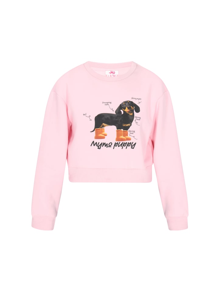 Women Sweatshirt in rose
