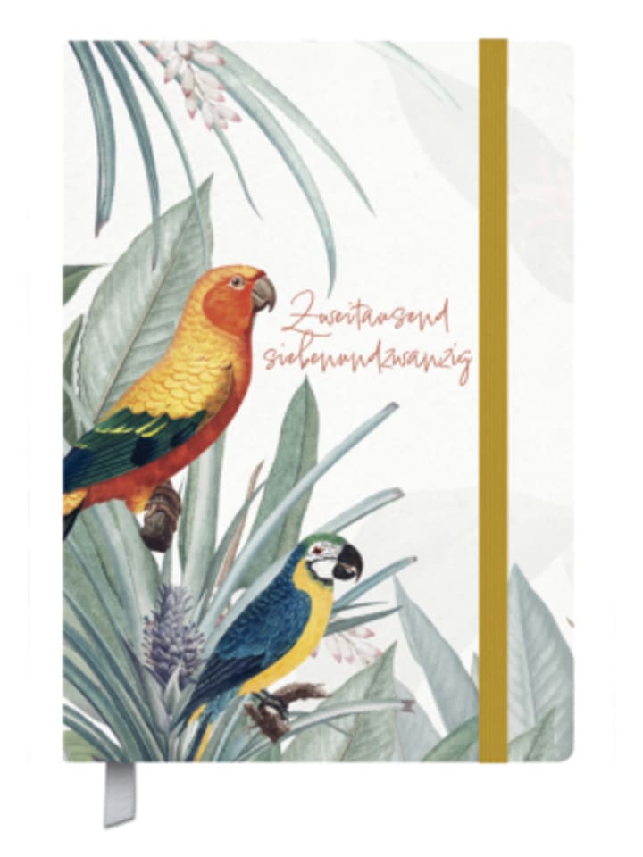Kalender - Terminkalender Campus Papagei 18 Monate 2027/2028
