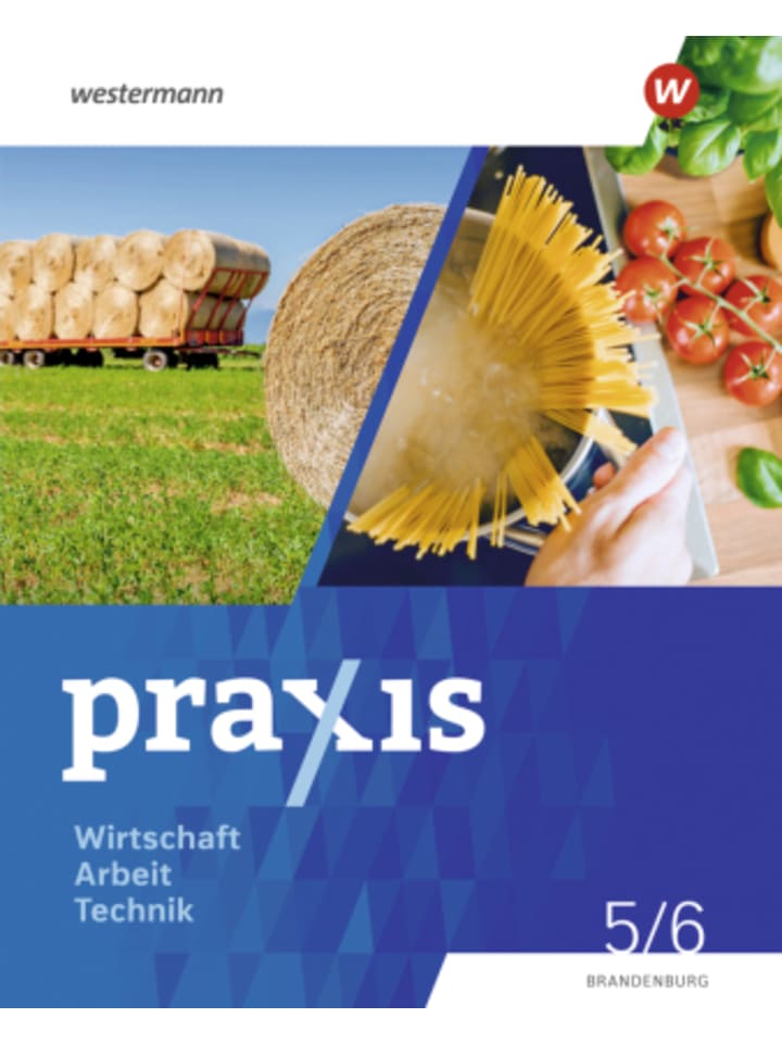 Buch - Praxis - WAT - Wirtschaft / Arbeit / Technik für das 5. / 6. Schulj