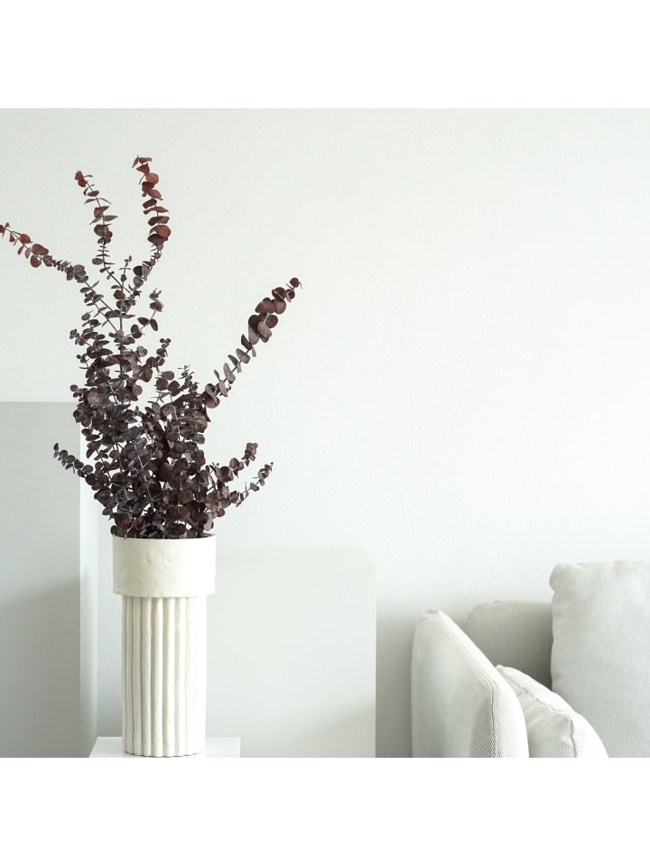 Eukalyptus Baby der Feine in Rot - (H) 70 cm