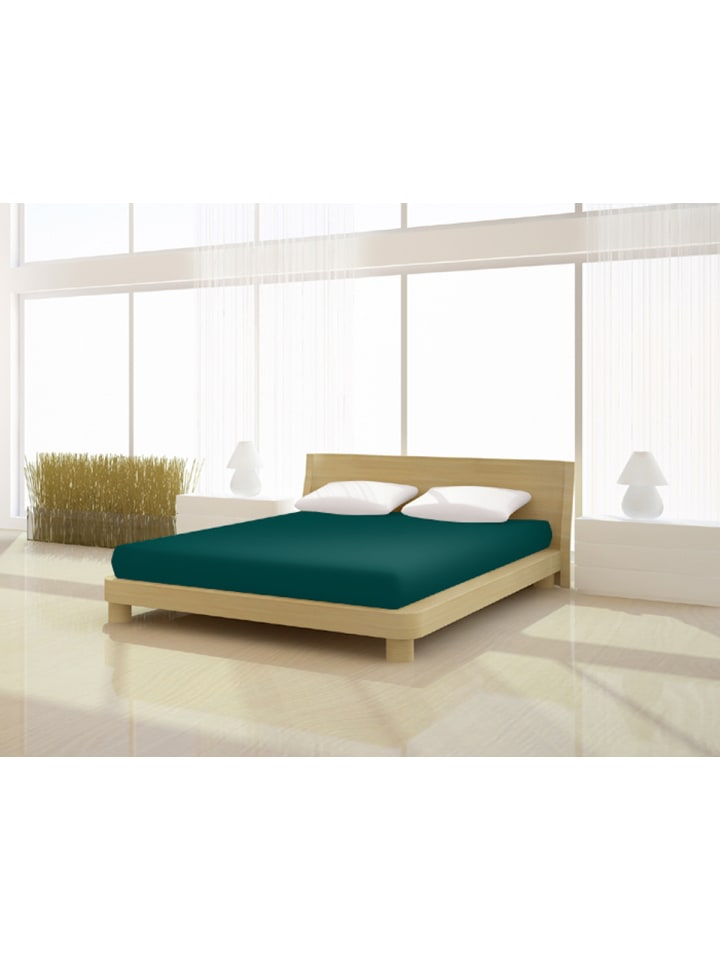Spannbetttuch Elastan basic 140-160 x 200-220 cm in moos