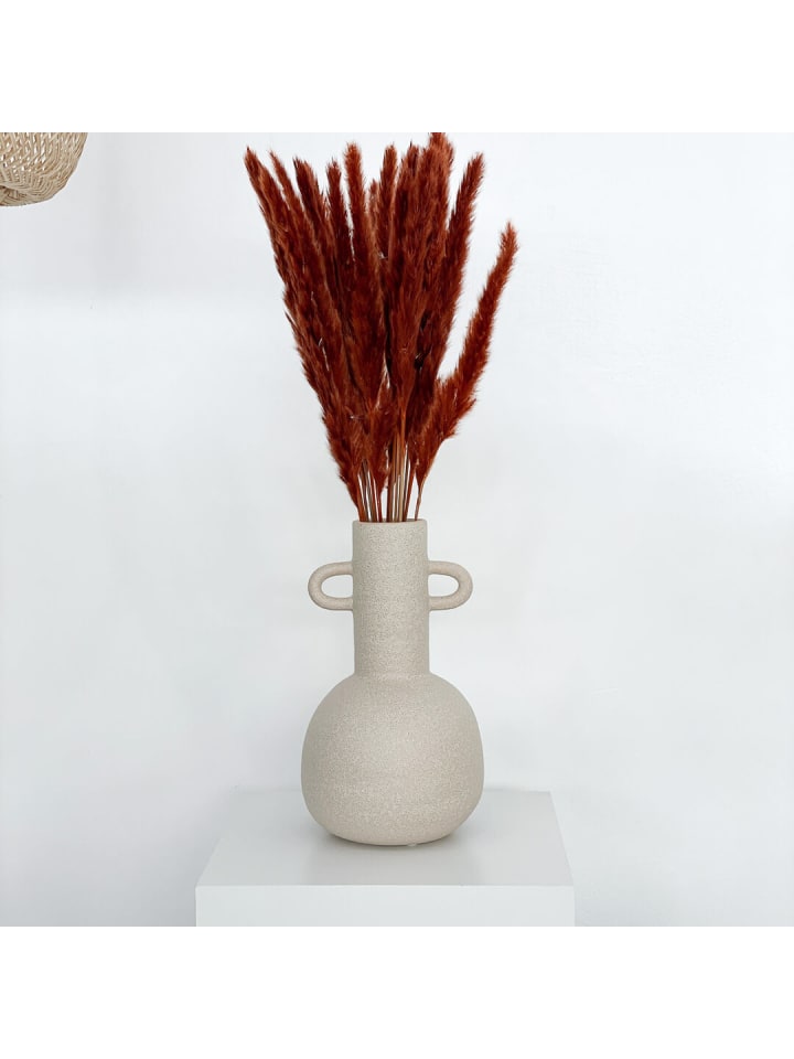 Pampasgras Mini in terracotta -(H) 65cm