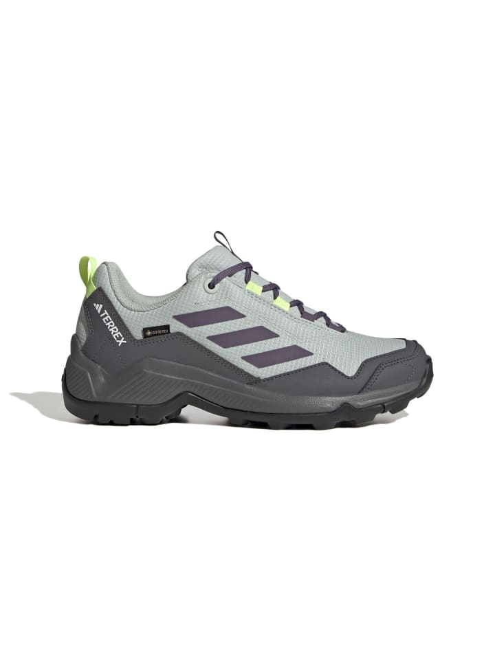 Outdoorschuh TERREX EASTRAIL GTX in wonsil/shavio/luclem