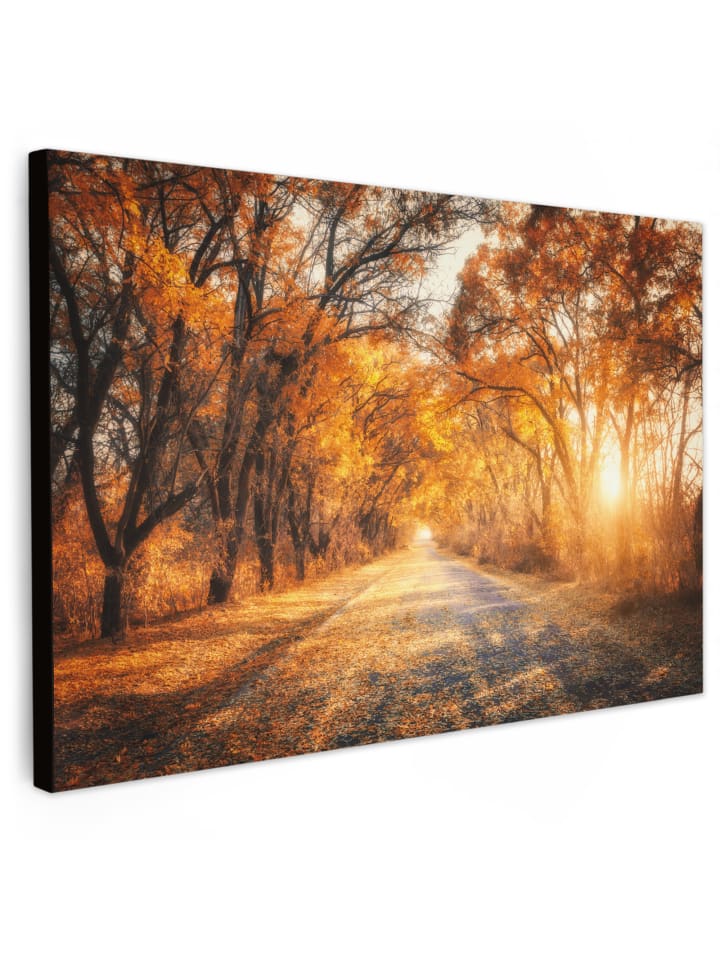 Leinwand Bilder Waldweg