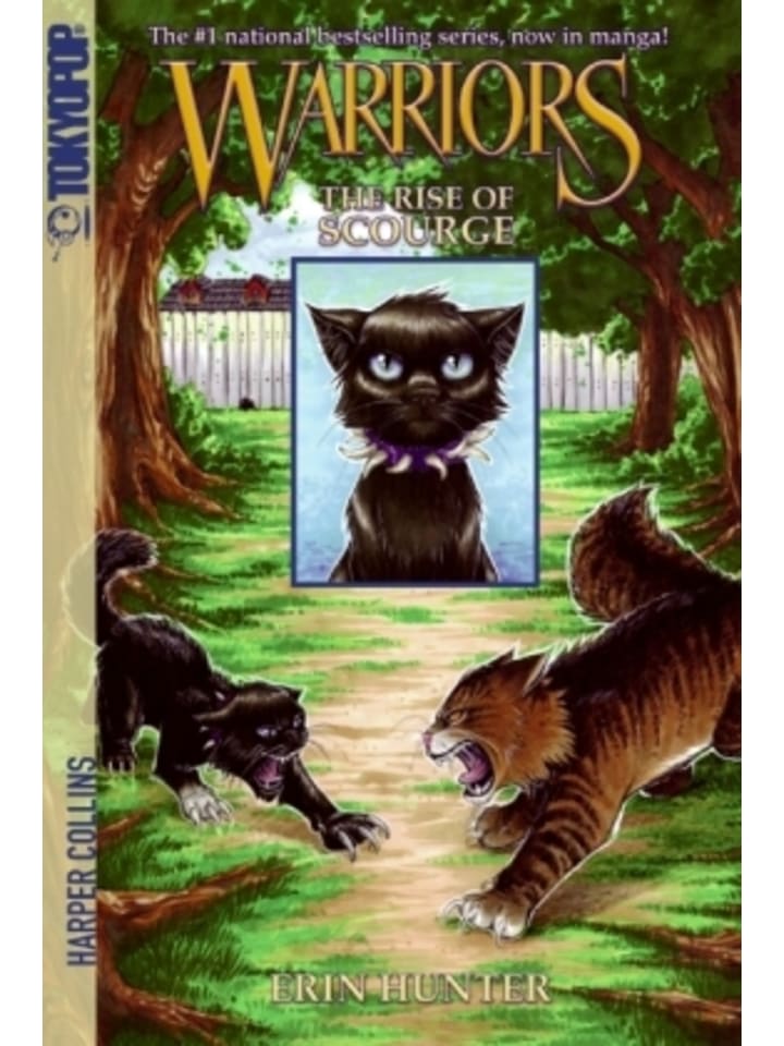 Buch - Warriors, The Rise of Scourge