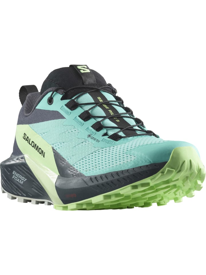 Laufschuh SENSE RIDE 5 GTX in blue radiance/green ash/india ink