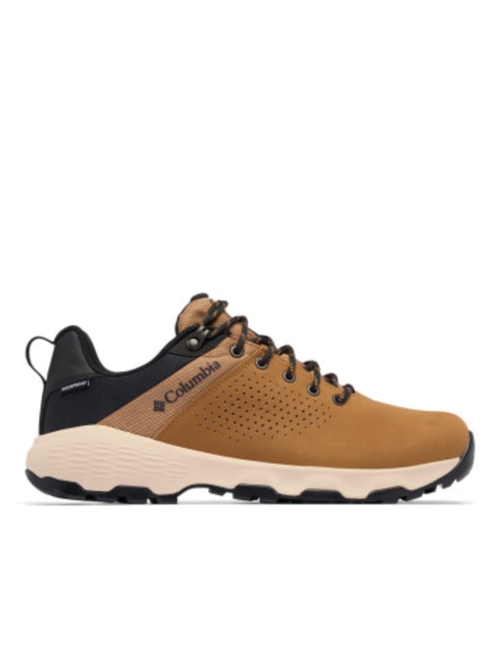 Trekkingschuhe Newton in Schwarz