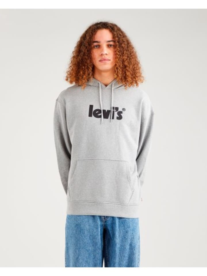 Sweatshirt in Grau