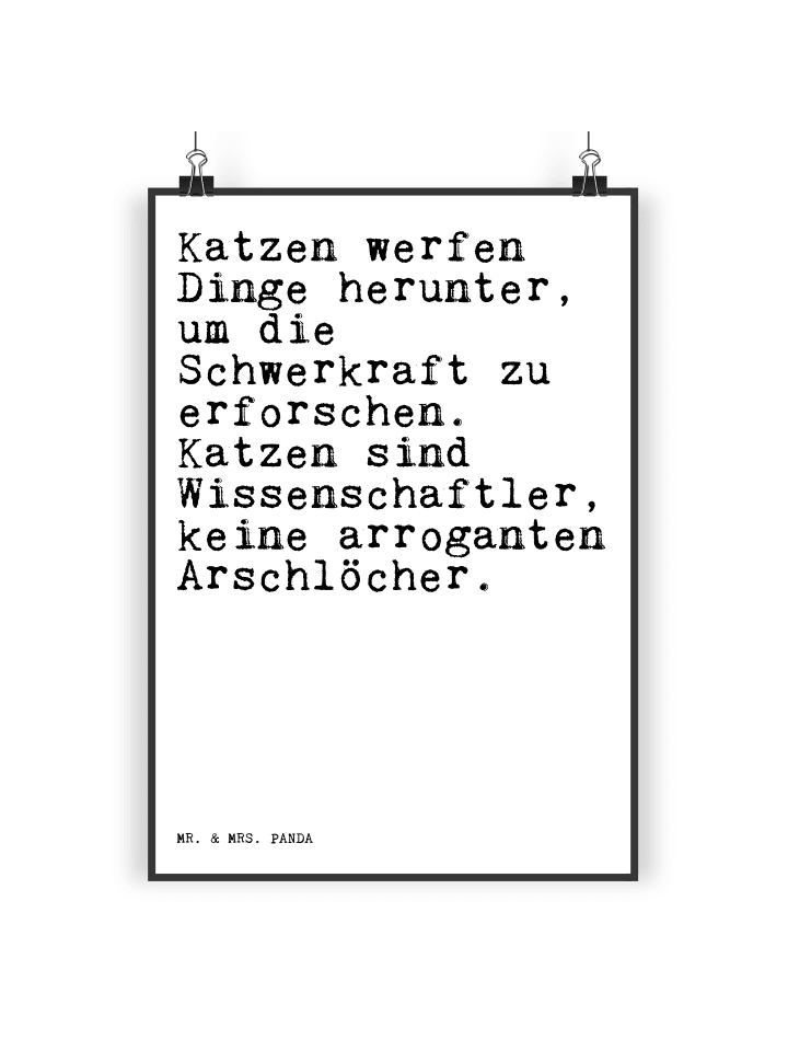 Poster Katzen werfen Dinge herunter,... mit Spruch in Weiß