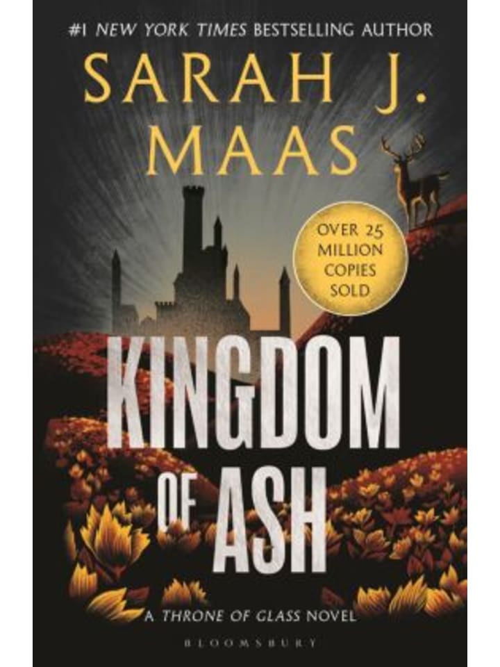 Buch - Kingdom of Ash