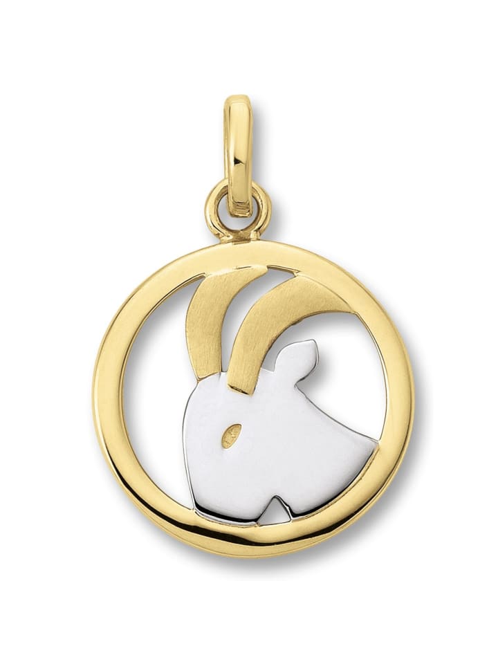 Steinbock Sternzeichen Anhänger aus 333 Gelbgold in gold