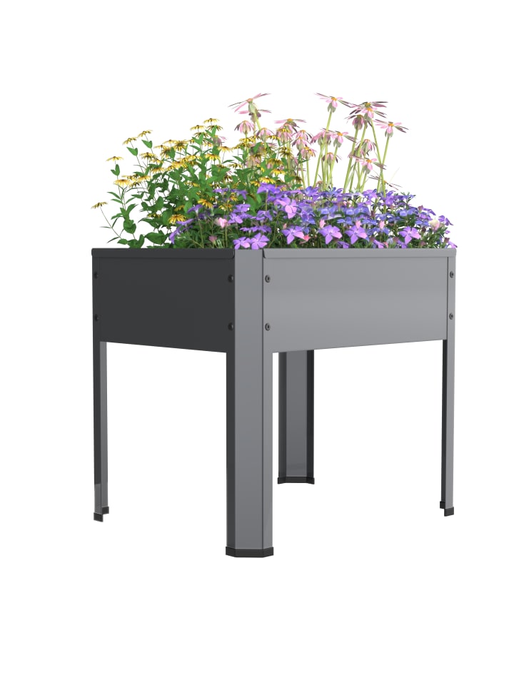 Metall Beet Pflanzkasten Hochbeet 50x40 Balora M in Schwarz