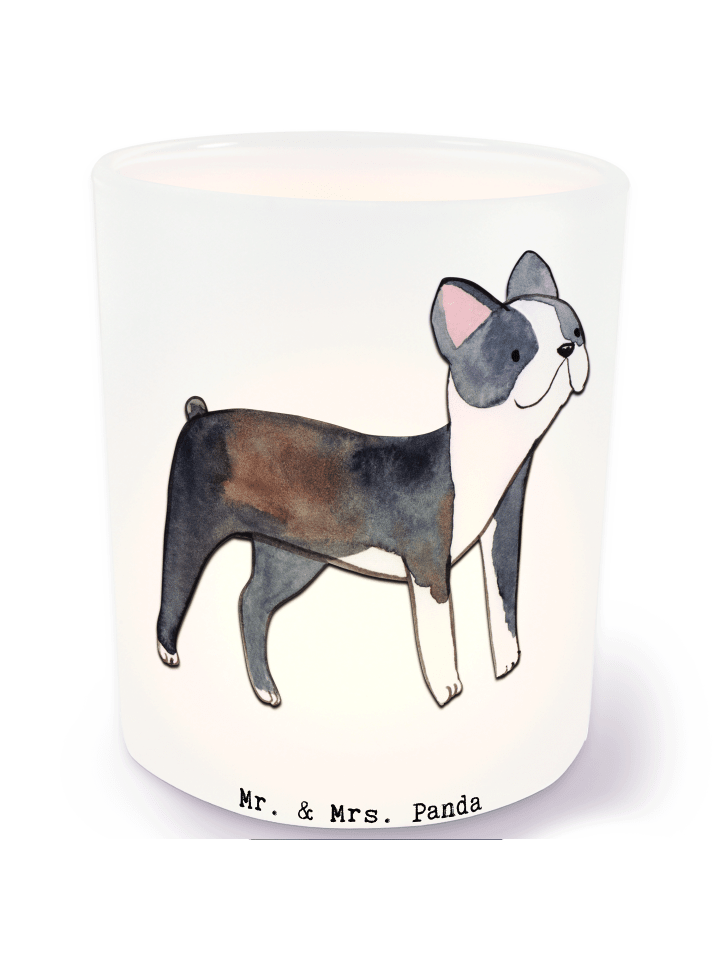 Windlicht Boston Terrier Moment ohne Spruch in Transparent