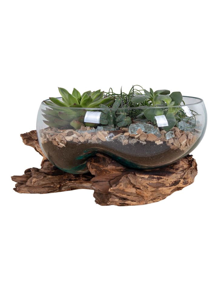 Waterdrop San Marino Teak 26 x 26 cm