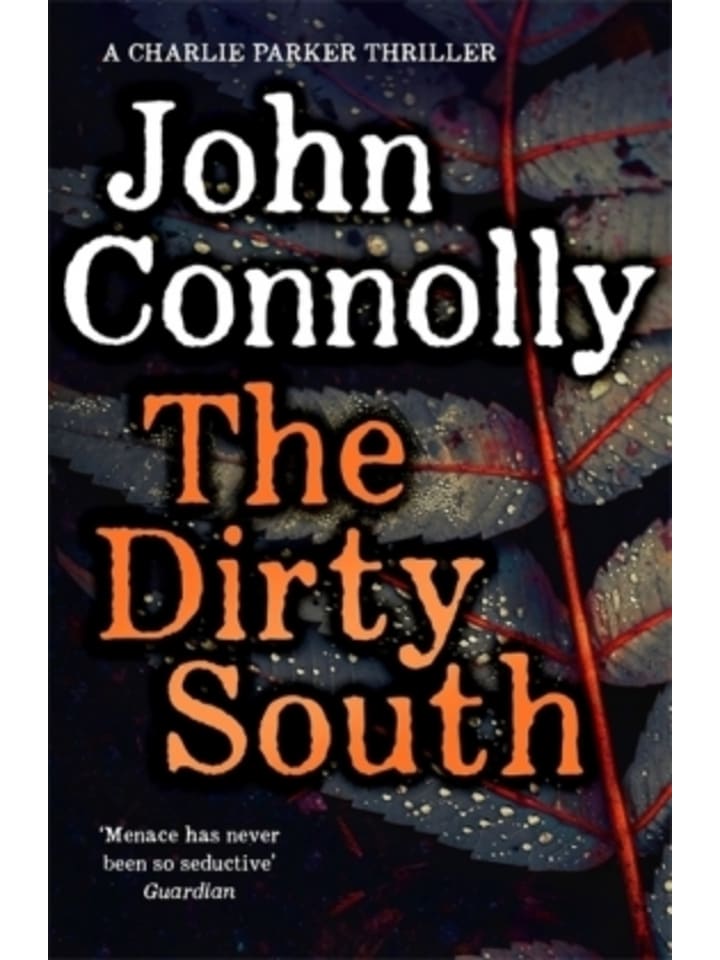 Buch - The Dirty South
